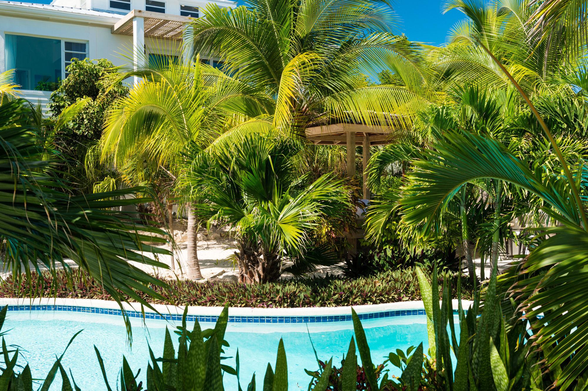 The Oasis At Grace Bay Hotel Eksteriør billede